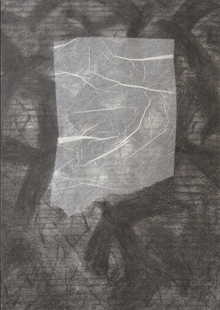 Jiří Voves - Rooks